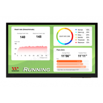 TFT 10.1", Panel 900 nit, IPS Pcap Touch Screen, Resolution 1024x600, LVDS Interface