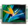 TFT 5.7" Panel + Control Board (RS232) , 500 nits, Transmi, Resolution 320x240