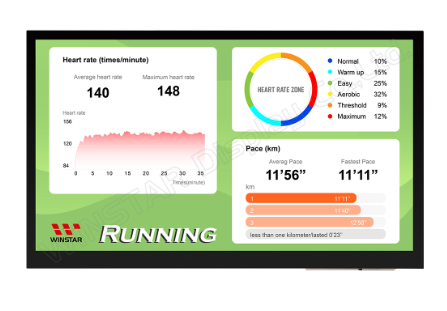 TFT 10.1", Panel 900 nit, IPS Pcap Touch Screen, Resolution 1024x600, LVDS Interface