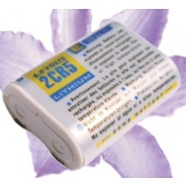 Lithium-Batterie 6V 1300mAh