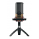 CHERRY kabelgebundenes USB-Mikrofon UM 9.0 PRO RGB